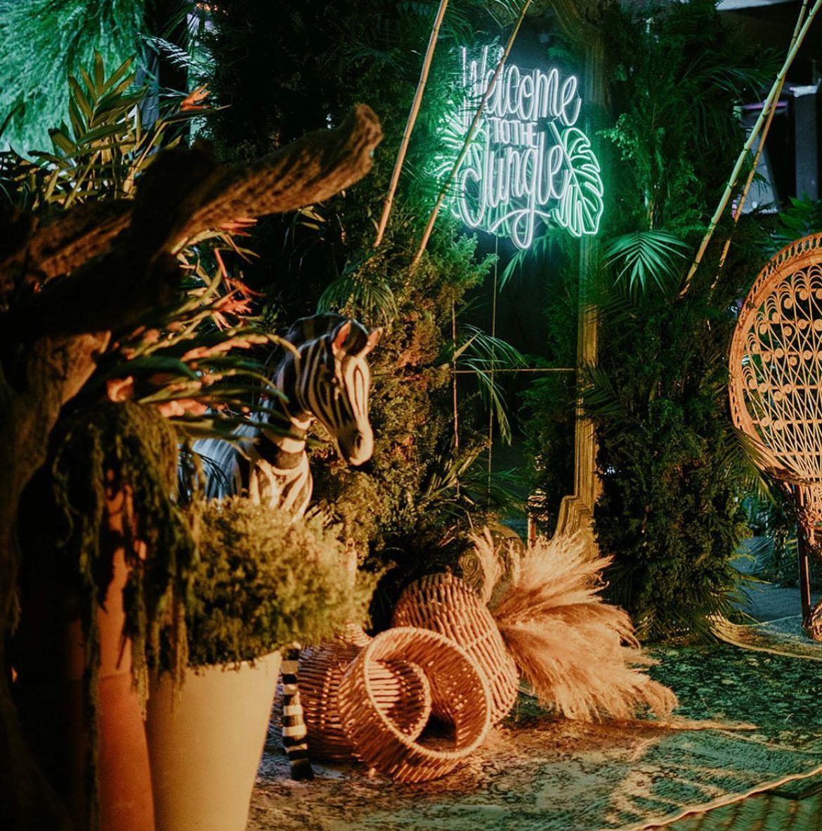 Welcome to the jungle